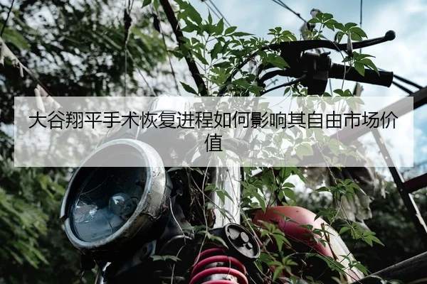 da-gu-xiang-ping-shou-shu-hui-fu-jin-cheng-ru-he-ying-xiang-qi-zi-you-shi-chang-jia-zhi-2-389.jpg