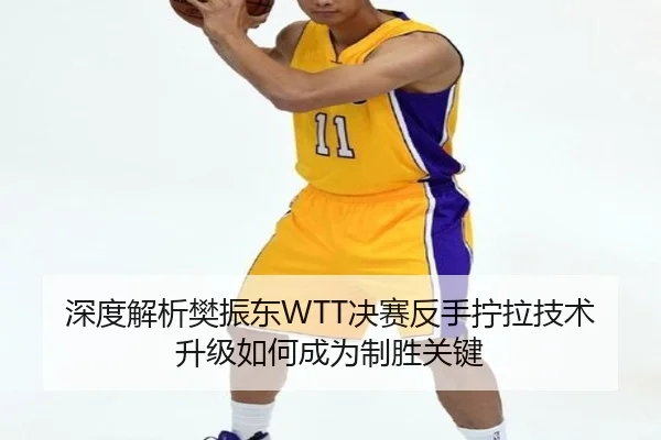 深度解析樊振东WTT决赛反手拧拉技术升级如何成为制胜关键
